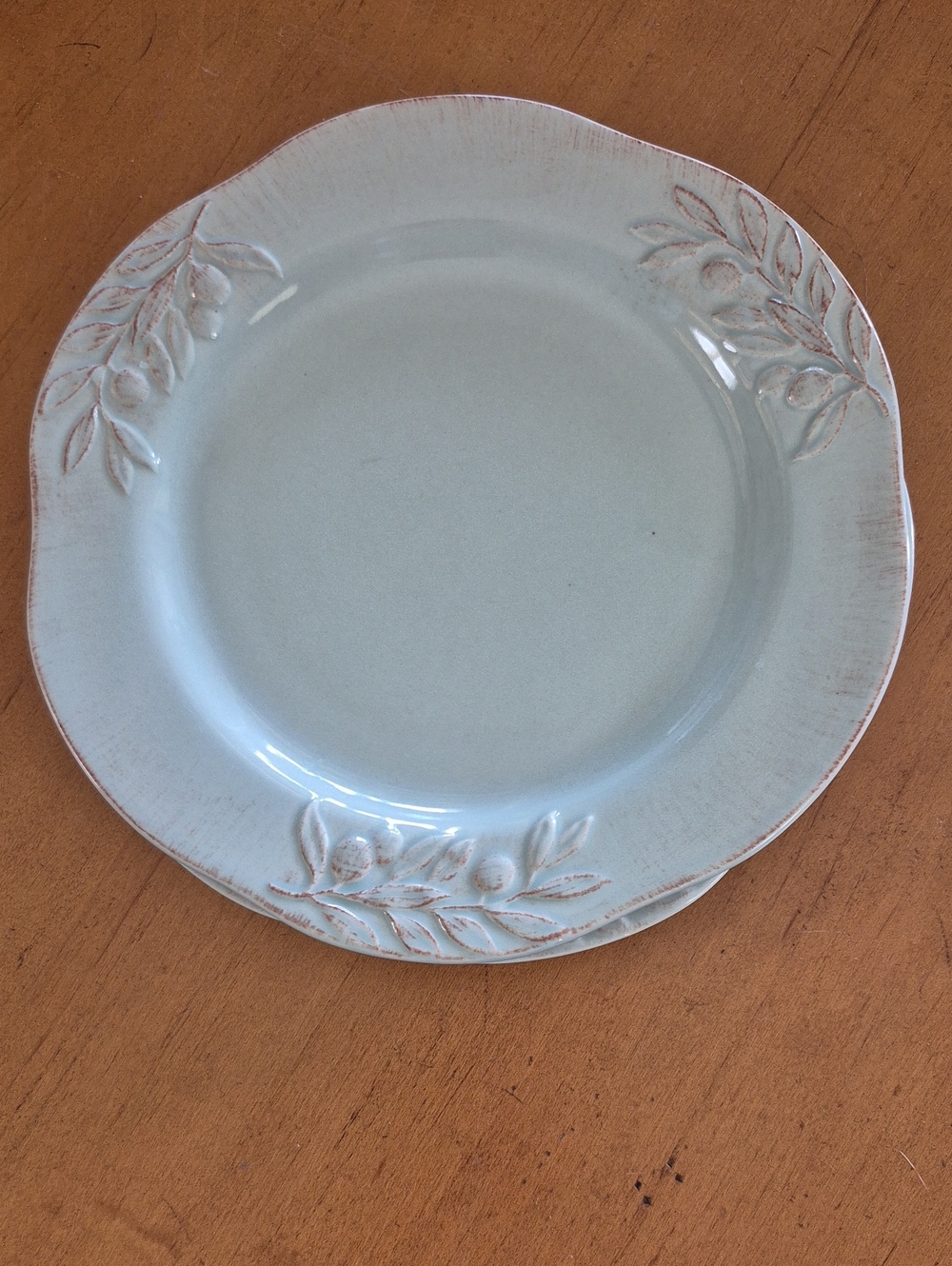 Signature Camoagna Pale Green Stoneware Salad Plates. Set of 2